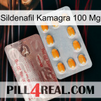 Sildenafil Kamagra 100Mg new13
